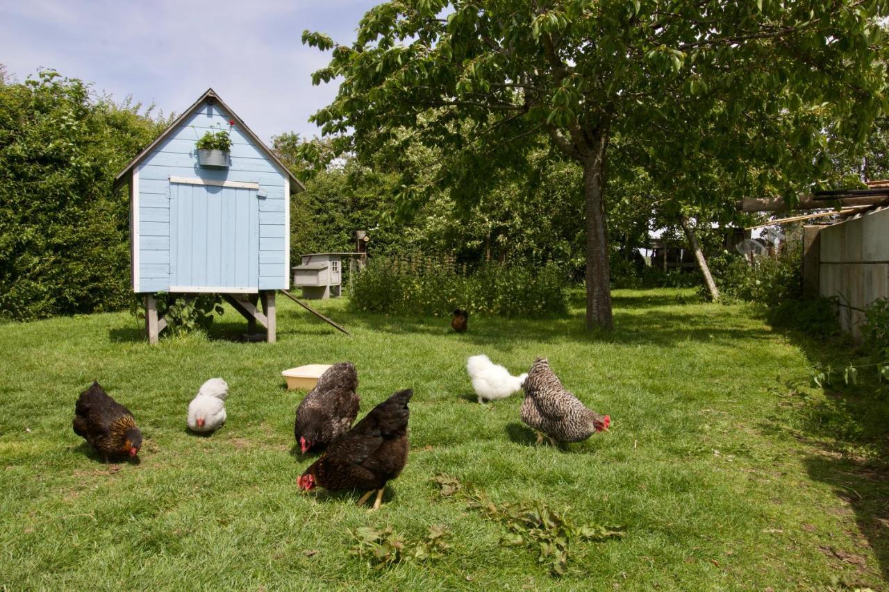 Holiday home Zeeuws